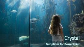  Presentation with fish aquarium - Amazing slide deck having biology seaweed - little girl looking at fish backdrop and a ocean colored foreground