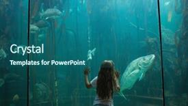  Presentation with biology seaweed - Colorful presentation design enhanced with biology seaweed - little girl looking at fish backdrop and a ocean colored foreground