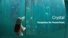 Presentation with fish aquarium - Amazing presentation design having biology seaweed - little girl looking at fish backdrop and a ocean colored foreground
