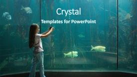  Presentation with fish aquarium - Presentation design consisting of biology seaweed - little girl looking at fish background and a ocean colored foreground