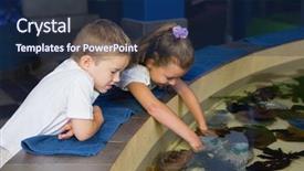  Presentation with fish aquarium - Presentation design with biology seaweed - little siblings looking at fish background and a navy blue colored foreground