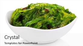  Presentation with seaweed - PPT theme with biology seaweed - sea kale in bowl close-up background and a white colored foreground