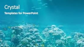  Presentation with shark - Cool new PPT theme with biology seaweed - sea or ocean underwater coral backdrop and a teal colored foreground