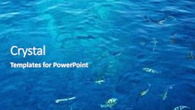  Presentation with biology seaweed - PPT layouts enhanced with biology seaweed - sea with colorful fish background and a teal colored foreground