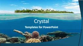  Presentation with coral reef - Presentation theme with biology seaweed - underwater coral reef with tropical background and a ocean colored foreground