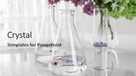  Presentation with smell - PPT theme consisting of biology smell - flowers in test tubes background and a light gray colored foreground
