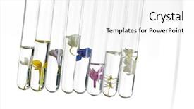  Presentation with smell - Amazing slide deck having biology smell - flowers in test tubes backdrop and a white colored foreground