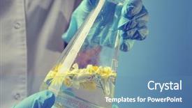  Presentation with smell - Slides having biology smell - scientist holding test tube background and a teal colored foreground