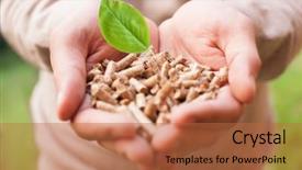  Presentation with biomass - Slide set with biomass - man holding wooden pellets background and a red colored foreground