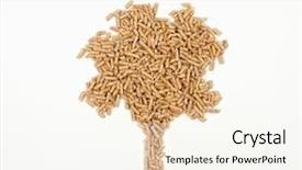  Presentation with biomass - Colorful theme enhanced with biomass - nice tree of wood pellet backdrop and a cream colored foreground