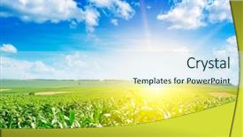  Presentation with corn field - Amazing slide deck having biomass - sunrise over summer corn field backdrop and a sky blue colored foreground