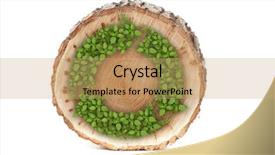  Presentation with tree rings - PPT layouts featuring cross section of tree trunk background and a coral colored foreground