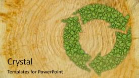  Presentation with tree rings - Theme featuring process rings - cross section of tree trunk background and a yellow colored foreground