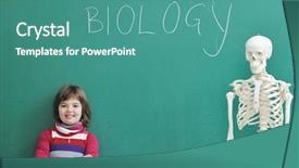  Presentation with anatomy - Colorful slide set enhanced with bioscience - happy children group in school backdrop and a teal colored foreground