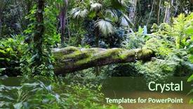  Presentation with atlantic - Cool new slides with biosphere - atlantic forest backdrop and a tawny brown colored foreground