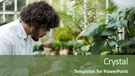  Presentation with scientist - Cool new PPT layouts with biotechnology - side view of male scientist backdrop and a tawny brown colored foreground