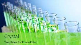  Presentation with tea leaves test tube - Audience pleasing PPT theme consisting of biotechnology - test-tubes on blue background backdrop and a seafoam green colored foreground