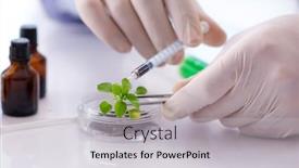  Presentation with biotechnology lab - PPT theme enhanced with biotechnology-concept-with-scientist background and a light gray colored foreground