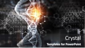  Presentation with biotechnology - Colorful theme enhanced with biotechnology-digital-background-mixed-media backdrop and a dark gray colored foreground