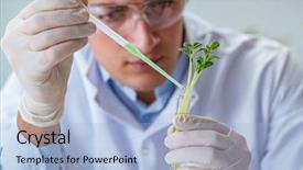  Presentation with plant biotechnology - Colorful presentation theme enhanced with biotechnology scientist working backdrop and a light blue colored foreground