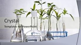 Presentation with plant biotechnology - PPT layouts with biotechnology background and a mint green colored foreground