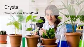  Presentation with biotechnology lab - Presentation theme having biotechonology - young beautiful biotechnology chemist working background and a lemonade colored foreground