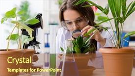  Presentation with biotechnology lab - Amazing presentation having biotecnology - young beautiful biotechnology chemist working backdrop and a tawny brown colored foreground