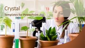  Presentation with biotechnology lab - PPT theme having biotecnology - young beautiful biotechnology chemist working background and a lemonade colored foreground