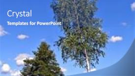  Presentation with oak - PPT theme having birch and oak near lanes background and a teal colored foreground