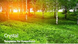 Presentation with birch bark - Beautiful theme featuring birch bark - green grass and trees backdrop and a  colored foreground