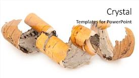  Presentation with birch bark - Cool new presentation theme with birch bark on white background backdrop and a white colored foreground