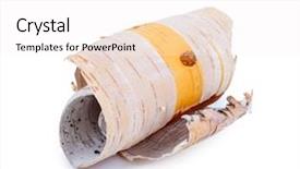  Presentation with white birch tree - PPT theme enhanced with birch bark on white background background and a sky blue colored foreground