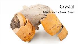  Presentation with white birch tree - Amazing slides having birch bark on white background backdrop and a white colored foreground