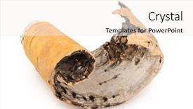  Presentation with birch bark - Theme consisting of birch bark on white background background and a white colored foreground