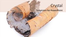 Presentation with birch bark - Beautiful PPT theme featuring birch bark on white background backdrop and a coral colored foreground