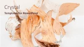  Presentation with birch bark - Amazing theme having birch-bark-on-white-background backdrop and a lemonade colored foreground