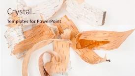  Presentation with birch bark - PPT theme consisting of birch-bark-on-white-background background and a lemonade colored foreground