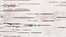  Presentation with birch bark - Slide set featuring birch bark texture close view background and a sky blue colored foreground