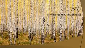  Presentation with october - PPT layouts featuring birch-forest-in-autumn-october background and a yellow colored foreground