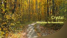 Presentation with islam and forest - Cool new presentation theme with birch grove in autumn forest backdrop and a  colored foreground