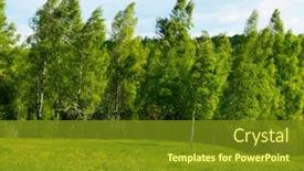  Presentation with windy weather - 