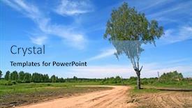  Presentation with rural road - Cool new presentation with birch near rural road backdrop and a light blue colored foreground