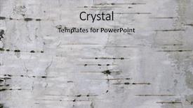  Presentation with birch bark - Beautiful PPT theme featuring birch texture 1 backdrop and a light gray colored foreground