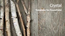  Presentation with natural - Presentation theme having birch tree trunks and branches background and a gray colored foreground