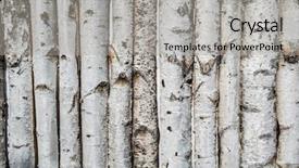  Presentation with wooden - Audience pleasing PPT layouts consisting of scientists hand holding a test backdrop and a sky blue colored foreground.