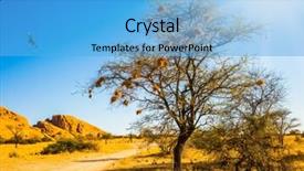  Presentation with africa tourism - Slides featuring tree with bird's nests background and a light blue colored foreground