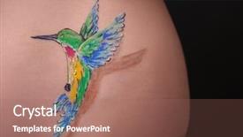  Presentation with black female - Theme enhanced with bird body art on female background and a coral colored foreground