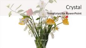  Presentation with tulips butterflies - Audience pleasing presentation consisting of bird cherry in glass vase backdrop and a white colored foreground