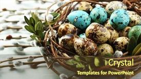  Presentation with bird eggs - Theme having bird eggs in nest background and a tawny brown colored foreground