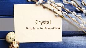  Presentation with bird eggs - Slide deck consisting of bird eggs in nest and pussy willow flowers branches on wooden background background and a cream colored foreground